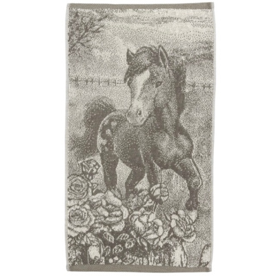 30х60 Жеребенок серый