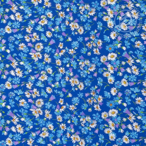 Бязь наб. 150 Раздолье 11634/1